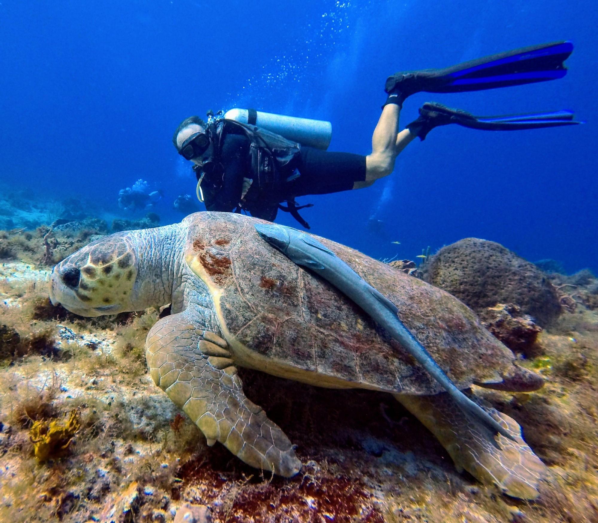 Casa Del Mar Cozumel Hotel & Dive Resort Kültér fotó